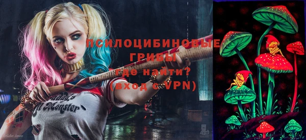 Альфа ПВП Нягань