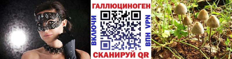 Псилоцибиновые грибы MAGIC MUSHROOMS  Купить закладки  Шебекино 